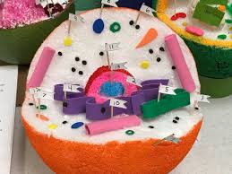 Animals with backbones amphibian fish mammal bird reptile. Roderick School On Twitter 6th Grade Animal Cell Model
