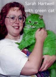 Green cat (3 aspects)