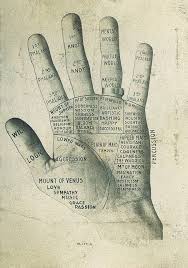 The Sick Rose Disease And The Art Of Medical Illustration Pdf Map Of The Hand Valerieroybal Palmistry Palm Reading Tarot