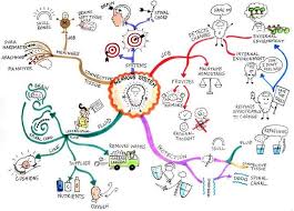 Homeostasis Mind Map Biology Map