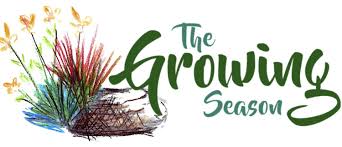 The latest tweets from canadian tire (@canadiantire). The Growing Season Dec 2 2019 Canadian Tire Noma Christmas Visitors The Growing Season