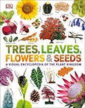 Read Download Trees Leaves Flowers And Seeds A Visual Encyclopedia Of The Plant Kingdom Free Epub Mobi Ebooks Leaf Flowers Book Tree Seeds