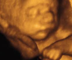 You Are 28 Weeks And 4 Days Pregnant Familyeducation