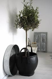 Un Cache Pot En Pneu Recycle Pneu Pneus Tyres Tire Recyclage Recycling Olivier En Pot Room Deco Decoration Maison