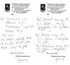 Asistenta medicala >> veterinari (cabinete). Decembrie 2010 A 7 A Consultatie Dr Mario Codreanu Si Dr Cristina Fernoaga Jurnal Medical Yrra