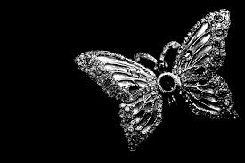 We did not find results for: Silver Butterfly Greeting Card Free Stock Photo Public Domain Pictures