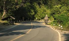 Tempat menarik untuk di lawati gerik , perak | denai kabus. 10 Hotel Terbaik Di Gerik Dari Myr 154