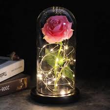 Sous un dôme en verre, une vrai rose enlacée d'un fil de cuivre qui s'illumine, elle peut servir de lampe dans une atmosphère romantique et chaleureuse. 2020 Belle Et Bete Eternelle Fleur Rose En Flacon Decoration De Mariage Fleurs Artificielles Verre En Couverture Pour Sa E16154 Cdiscount Maison