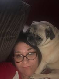 Does everyone's pug sit like this? Cracks me up EVERY time. It's like  Patrick's bottom just got too heavy!!! 😂😂