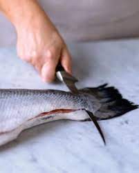Pin On Fishing Stuff