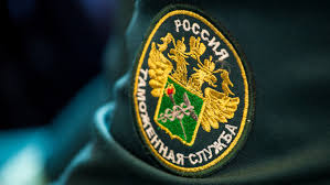 Tamozhennye Poshliny V 2020 Godu Pokupat Rostest Deshevle Rozetked Me