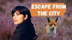 The Netherlands' Largest Nature Reserve: Hoge Veluwe ... - YouTube