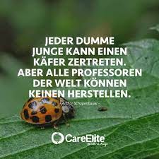 Arthur Schopenhauer Zitate 30 Wertvolle Spruche Careelite