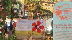 Dataran bunga raya, 1 lagi tarikan pelancong di shah alam. Namesherry Sunway Pyramid S Bunga Bunga Raya