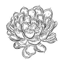 Check spelling or type a new query. Exotic Tropical Flower Icons Set Vector Stock Vector Crushpixel