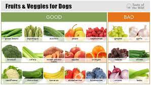 Fruits And Veggies Guide For Dogs R Coolguides