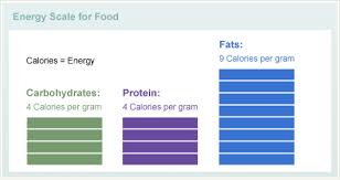 What does fat give twice as much energy of? Understanding Food Diabetes Education Online