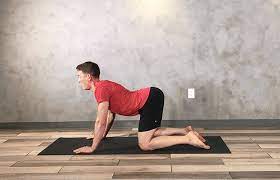Webmd's low back pain slideshow explains the most common causes of low back pain and what you can do to help alleviate it. 6 Core Exercises For Lower Back Pain Fitness Retreat