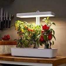 das beste mini gewachshaus 2021 northpoint led mini gewachshaus mit led timer mehr infos und einen ausfuhrlichen bericht in 2021 gewachs led pflanzenlampe grow lampe