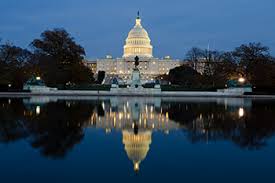 Image result for Government and Politics :
