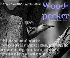 Cancer is nurturing and hence, it relates to a woodpecker. Astrology Explained Native American Astrology Native American Zodiac Signs Native American Animals