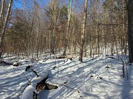 Overtime archery in 3B. I still have doe age to fill. Who else is out today?