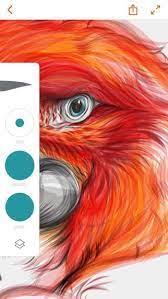 Adobe Illustrator Draw Scalable Vector Illustration With Layers On The App Store Adobe Illustrator Draw Illustration Hippie Painting