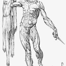 Figure Of The Flayed Muscle Man Holding His Skin And Flaying Knife By Download Scientific Diagram With so many draw knives cheaply available on the used tool. flayed muscle man holding his skin