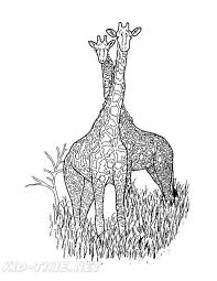 You can search several different ways, depending on what information you have available to enter in the site's search bar. Realistic Giraffe Coloring Book Pages