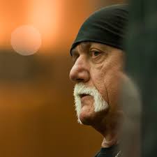 Too bad hunter hurst helmsley doesn't live up to the positive image hogan established, even if they do sort of fit the same physical template. The Secret History Of The Plot Against Gawker The Atlantic