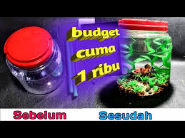 Tentu saja contoh tema acara kebersamaan memang telah banyak dicari oleh orang di internet. Cara Membuat Aquarium Dari Barang Bekas Untuk Ikan Cupang Youtube