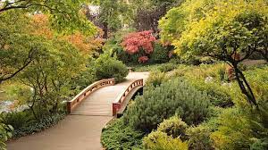 Garten arbeit wien rollrasen strauch schnitt baumschnitt hecke baumstumpf entfernen. Weltreise Durch Wien Dasbiber
