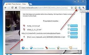 This extension works with both internal browser download manager and external download managers. Top 10 Google Chrome Extensions For Downloading Videos