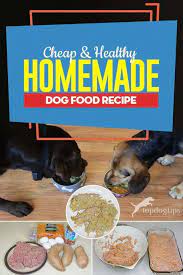With House Prepared Meals You Can Make Sure That Just The Best And Healthiest Of Active Ingredi Dog Food Recipes Healthy Dog Food Recipes Raw Dog Food Recipes