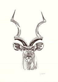 The Kudu Bull Drawing Drawings Art Animal Drawings