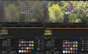 blackmagic forum view topic is x rite colorchecker