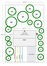 The recommended mature spacing is for growing the tree as a shade tree in the landscape. Leaf Network Linking Edible Arizona Forests Tree Spacing