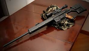 These are stable identifiers and should be used to cite uniprotkb entries. Pin On Rifles
