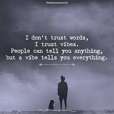 I Don T Trust Words I Trust Vibes And That Vibe Was Correct In What She Said Vs What She Did Trust Words Vibe Quote Positive Quotes