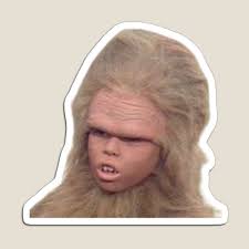 Marty Magnets for Sale