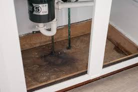 We did not find results for: How To Fix Rotted Wood Under Kitchen Sink