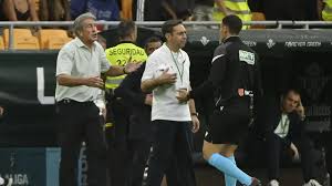Rajadón de Pellegrini: 