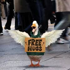 Aflac Duck Free Hugs Cute Animal Pictures Cute Animals Cute Ducklings