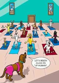 Yoga Class Let S Begin Class In Up Human Yoga Cartoon Yoga Funny Yoga Thoughts