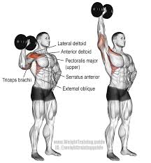 Dumbbell One Arm Overhead Press A Unilateral Compound Push Exercise Main Muscles Worked Anterior Deltoid Late Shoulder Workout Dumbell Workout Gym Workouts