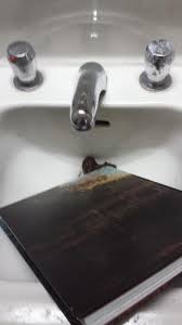 okay guys someone literally took a shit