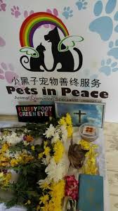 Pets cremation services is the most suggested way to manage the remains. Pets In Peace Malaysia Home Facebook