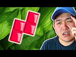 Speedrunning Jungle Tetris Link