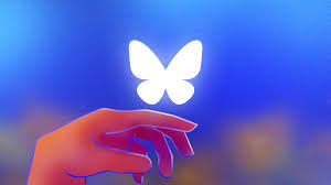 Use Bluesky Directory to Find the Best Starter Packs of People to Follow |  Lifehacker