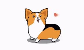 300 x 300 jpeg 18 кб. Corgi Happy Gifs Tenor